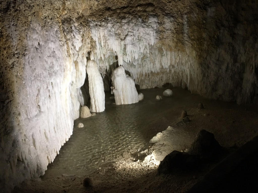 Harrison's Cave